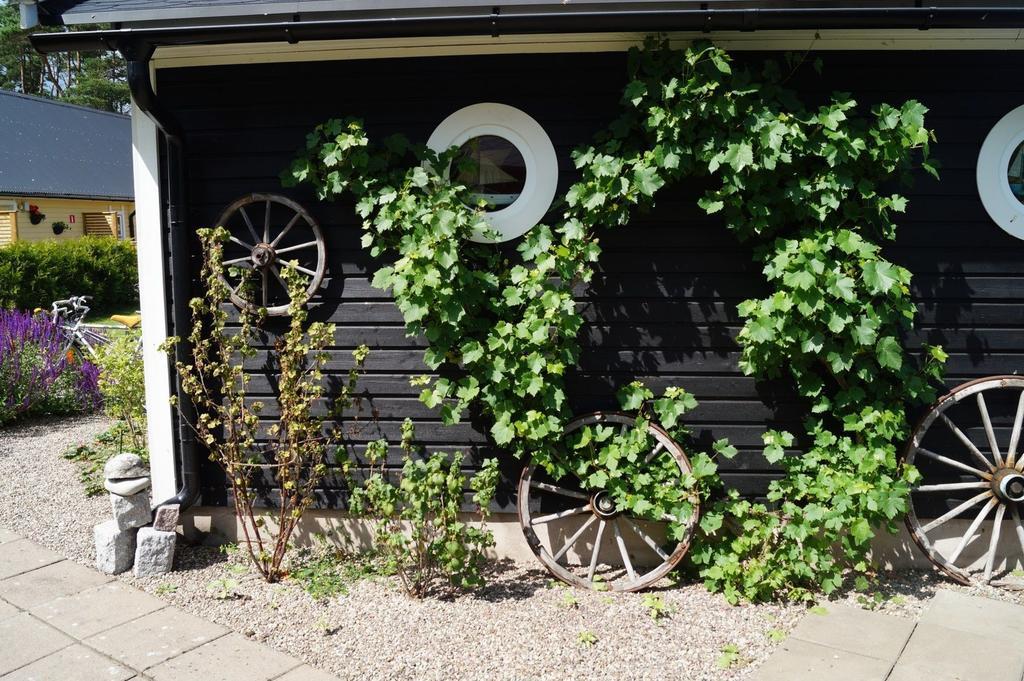 Drei Jahreszeiten Köpingsvik エクステリア 写真