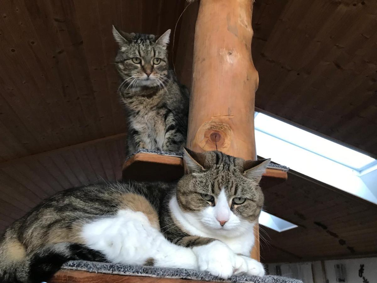 Drei Jahreszeiten Köpingsvik エクステリア 写真